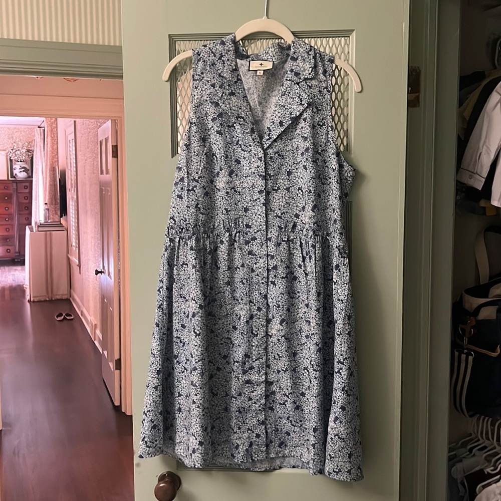 Blue floral Tuckernuck Dress